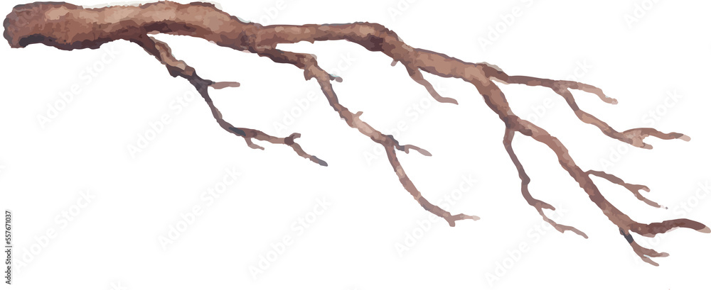 Fototapeta premium spring tree branch