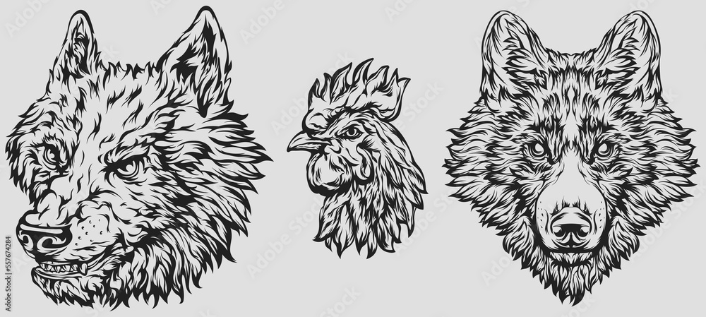 Fototapeta premium Head of rooster, dog, wolf. Abstract character illustration. Graphic logo designs template for emblem. Image of portrait. 