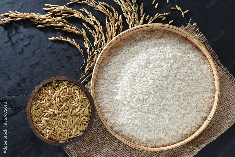 Paddy and rice in baskets placed on a black background with ears of rice.