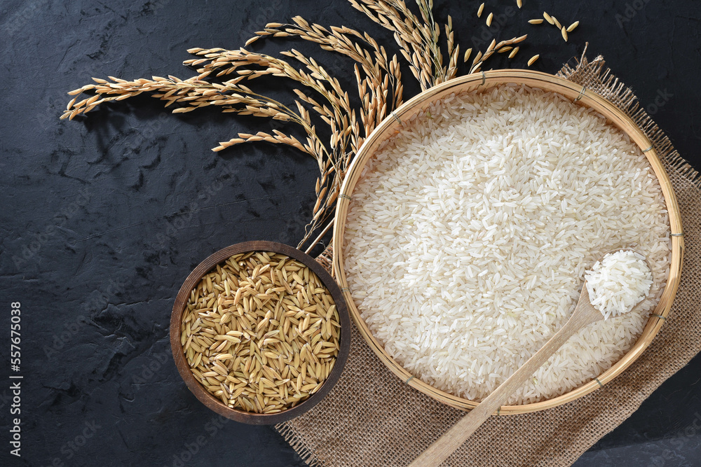 Paddy and rice in baskets placed on a black background with ears of rice.