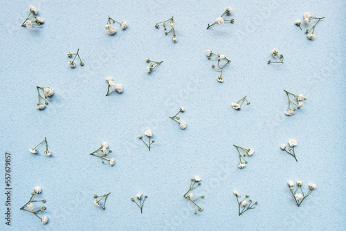 Tiny real flowers lay flat scattered on blue paper with texture, top view fresh pastel background