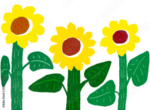 Illustration of three sunflowers highlighted by thick stems, yellow sunflower flowers drawn like children's drawings
