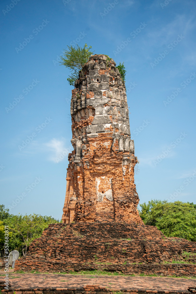 Fototapeta premium THAILAND AYUTTHAYA WAT LOKAYASUTHARAM
