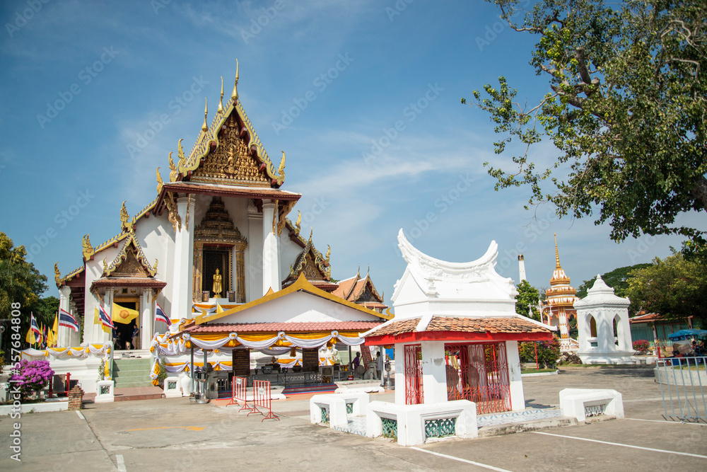 Fototapeta premium THAILAND AYUTTHAYA WAT NA PHRAMEN