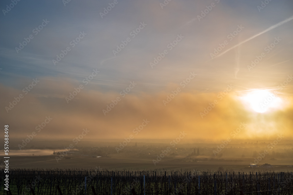 Fototapeta premium sonnenaufgang und nebel