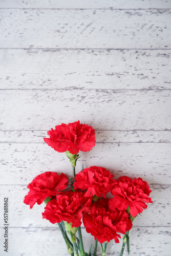 Red Carnation flowers composition on white wooden background. floral background for Mother's day, Women's day and wedding. Beautiful red carnation on wooden table. 