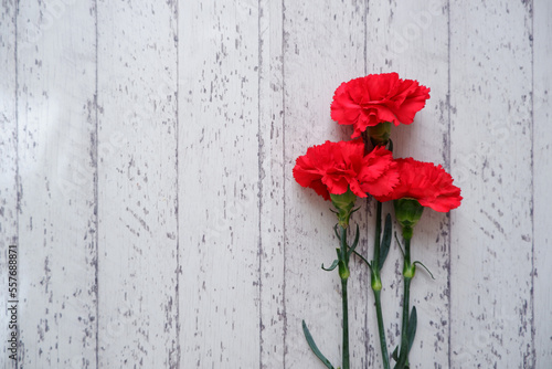 Red Carnation flowers composition on white wooden background. floral background for Mother's day, Women's day and wedding. Beautiful red carnation on wooden table.  photo