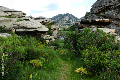 Nature of East Kazakhstan, summer day, mountains, fields, grass