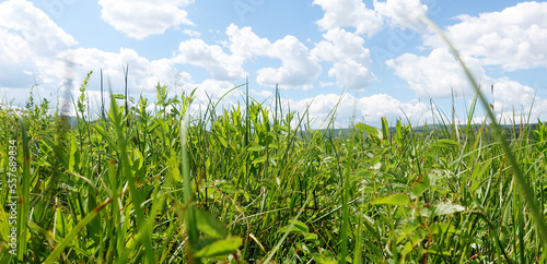 Nature of East Kazakhstan, summer day, mountains, fields, grass