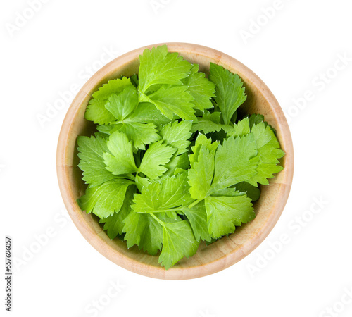 celery leaf in wood bowl isolated on transparent png