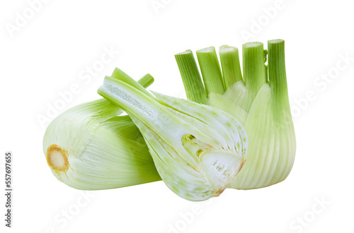 Fresh fennel isolated on transparent png