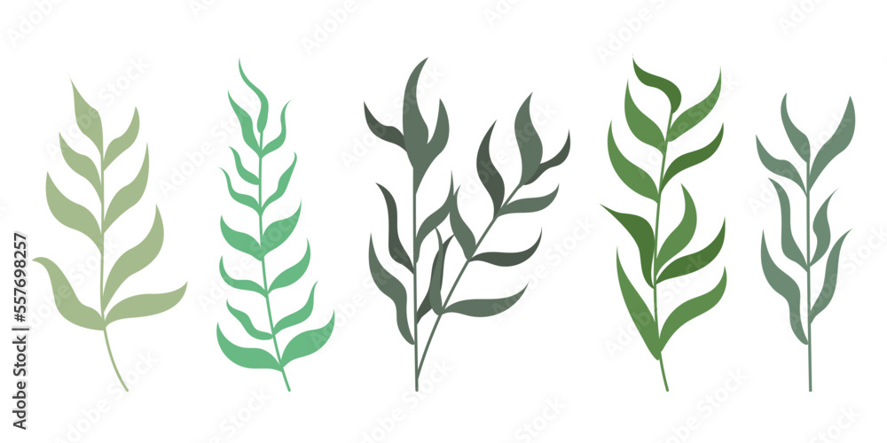 Set of hand drawn abstract tree branches with leaves illustration Set of hand drawn abstract tree branches with leaves illustration