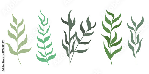 Set of hand drawn abstract tree branches with leaves illustration
