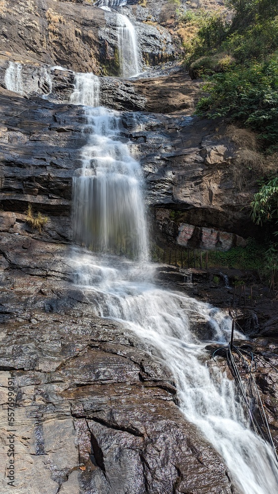Fototapeta premium waterfall in the forest