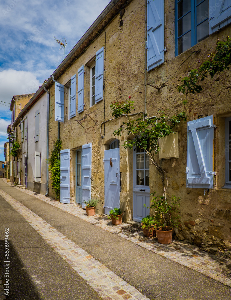 Quaint and flowery facades of townhouses with colorful wooden shutters and doors in the village of Terraube in the South of France (Gers)