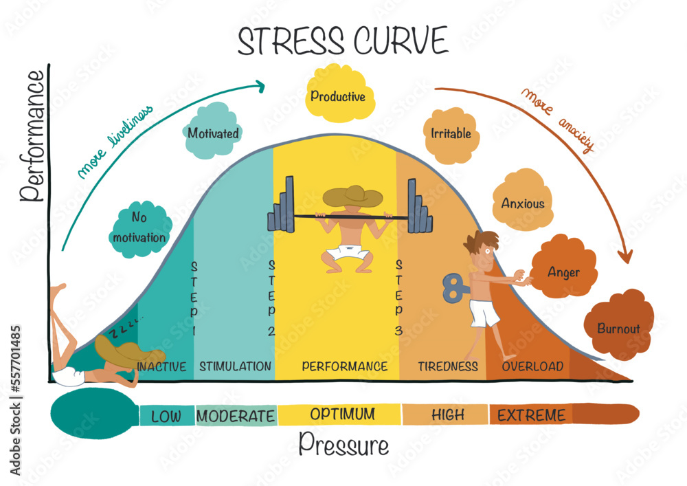 Stress curve. Beautiful hand drawn illustration of stages of stress ...