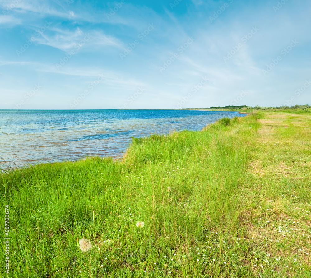 Summer coastline (Skadovsk town environs, Ukraine). Summer coastline (Skadovsk town environs, Ukraine).