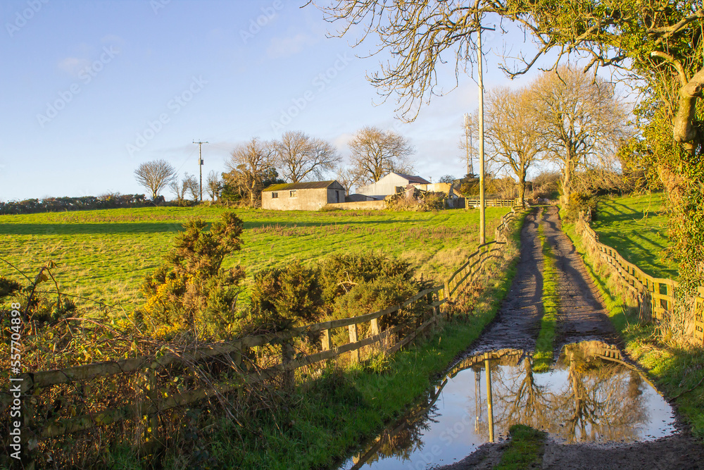 Soft winter sunlight on a flooded farm lane leading to a local farm yard and outbuildings near Dundonald in County Down Northern Ireland Soft winter sunlight on a flooded farm lane leading to a local farm yard and outbuildings near Dundonald in County Down Northern Ireland