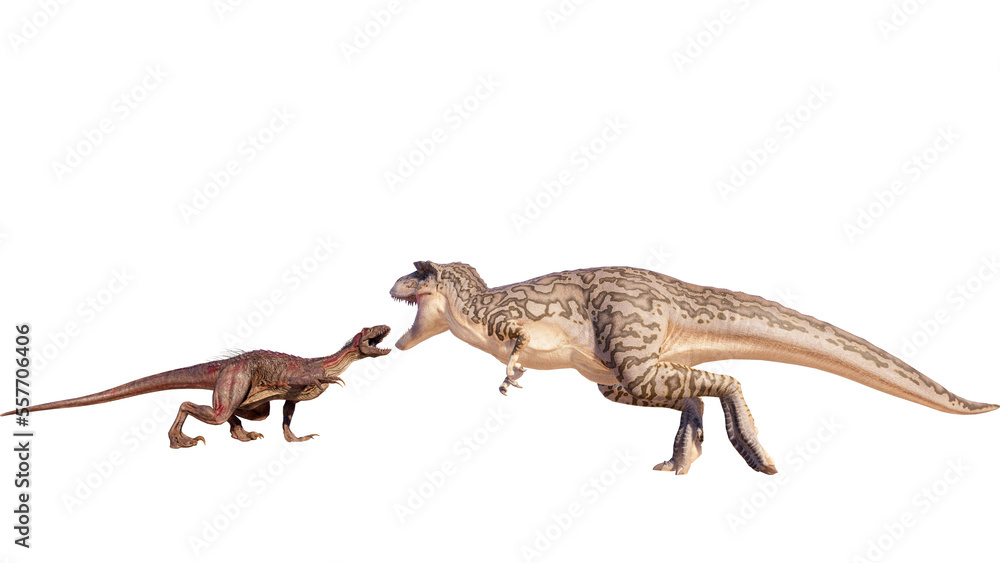 Dinosaur albertosaurus vs Indoraptor roaring, fighting isolated on blank background PNG ultra high resolution Dinosaur albertosaurus vs Indoraptor roaring, fighting isolated on blank background PNG ultra high resolution
