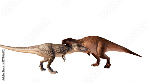 dinosaur albertosaurus vs acrocanthosaurus roaring, fighting isolated on blank background PNG ultra high resolution