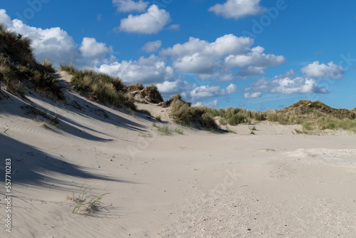 sand dunes in the netherlands on texel