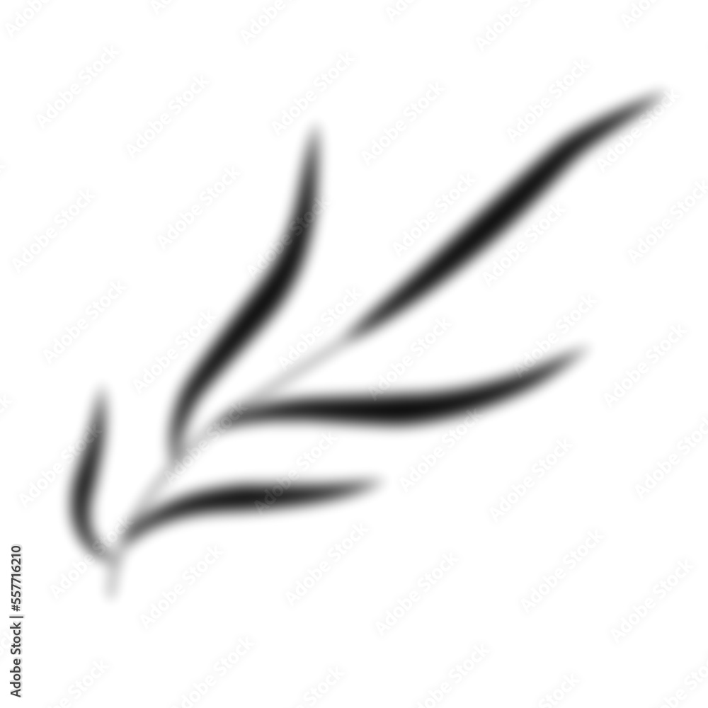 Fototapeta premium Leaf Shadow Illustration