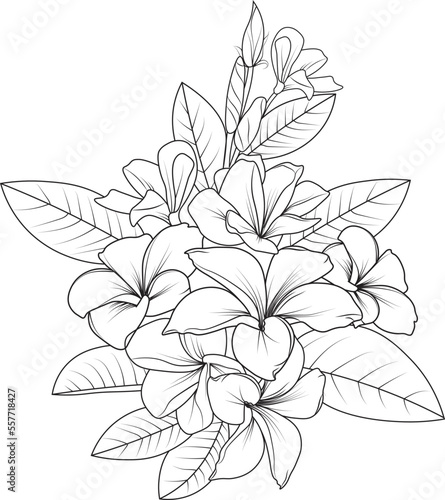 Set of a decorative stylized frangipani flower isolated on white background. Highly detailed vector illustration, doodling and zentangle style, tattoo design blossom plumeria flowers.