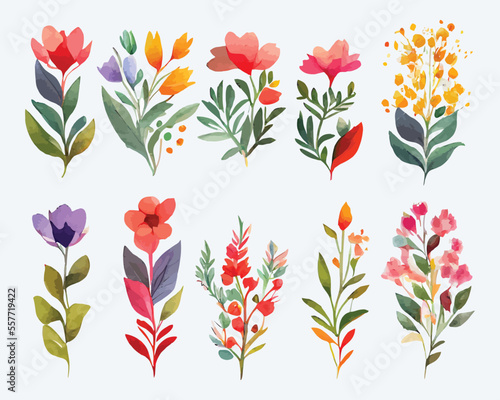 collection of flowers Beautiful Watercolor set of Design Ornaments