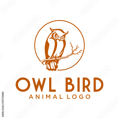 This logo is about an owl and a circle that looks like the moon. Made using corel draw X5.