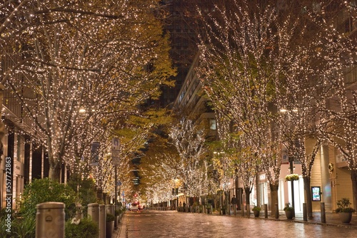 Illumination Light Up of Marunouchi