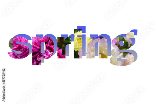 On a white background, the colorful word 