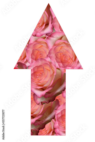 Vertical arrow pointing up from roses.