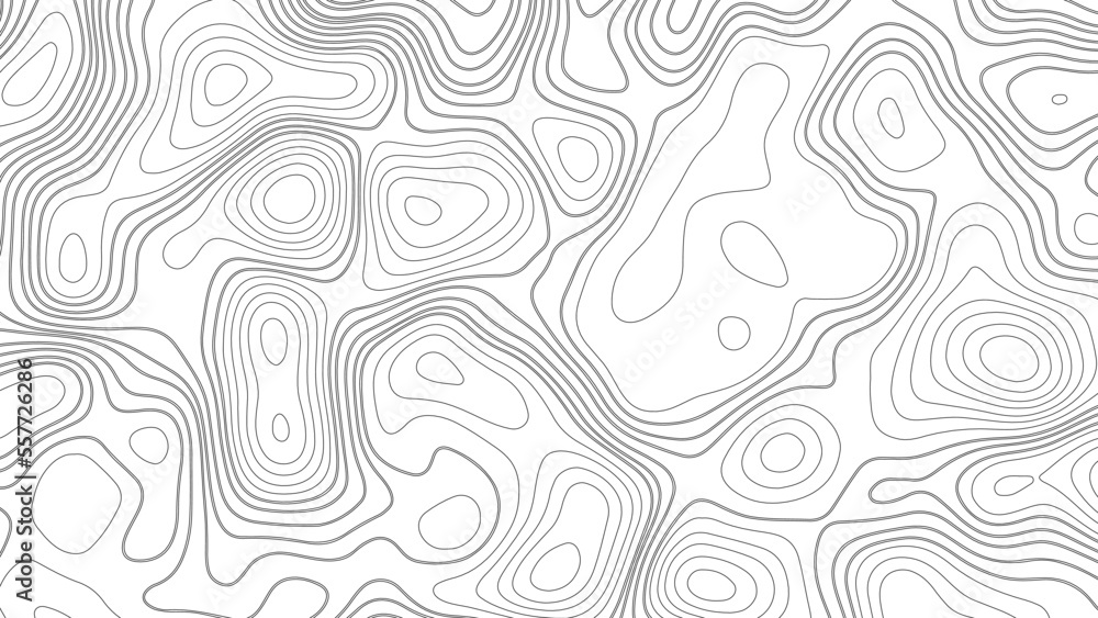 Abstract white topography vector background. Line topography map design. The concept of conditional geographical pattern and topography.	