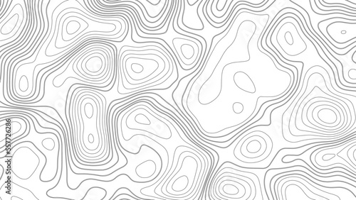 Abstract white topography vector background. Line topography map design. The concept of conditional geographical pattern and topography.	