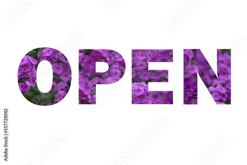 On a white background, the word 