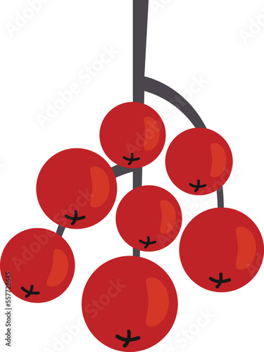 Rowan icon. Flat illustration of Rowan vector icon for web design isolated