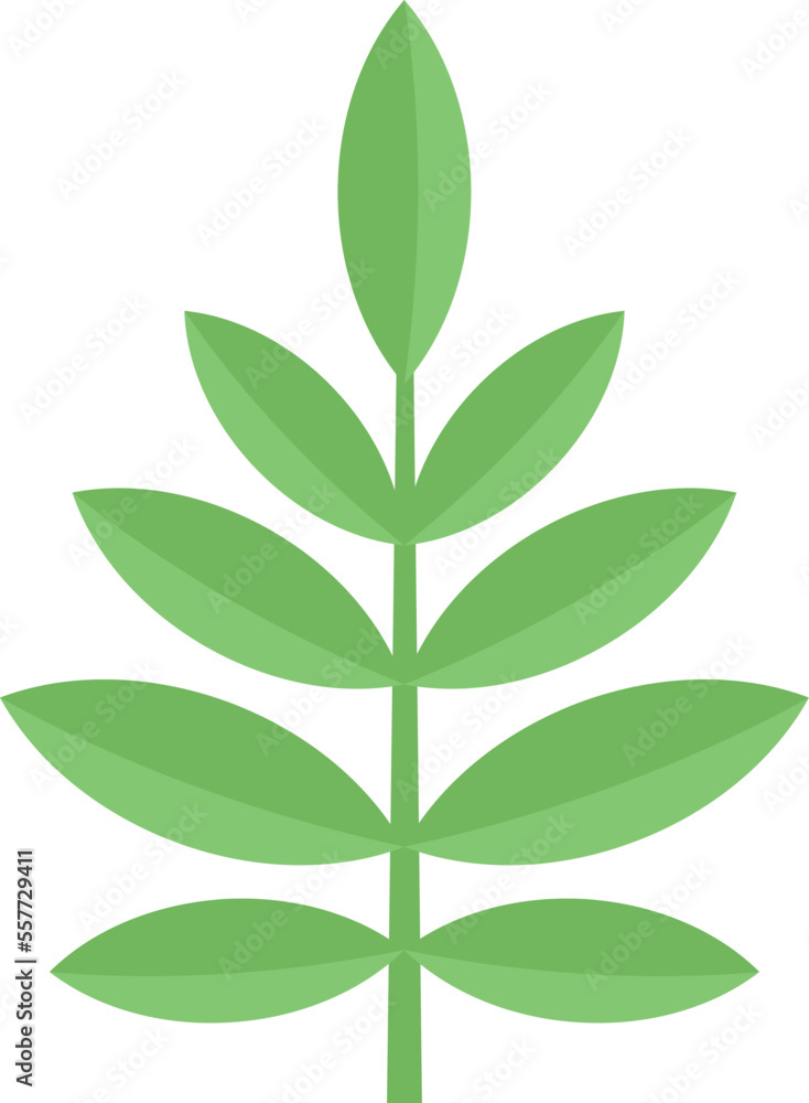 Rowan leaf icon. Flat illustration of Rowan leaf vector icon for web design isolated