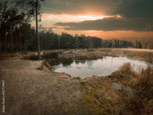 Small wild river Grabia in Poland. photo