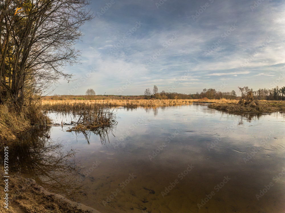 Fototapeta premium Small wild river Grabia in Poland.