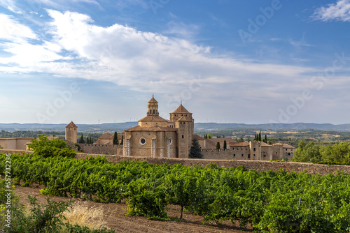 Royal Abbey of Santa Maria de Poblet, cistercian monastery, Catalonia, Spain photo