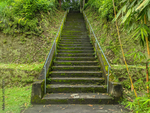 Stairs inside the Dalem Balingkang temple, Bali, Indonesia. Mossy stone staircase background. photo