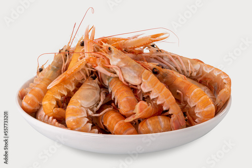 Fotografia Langoustines, raw scampi in white dishready to be cooked,  isolated on white, to