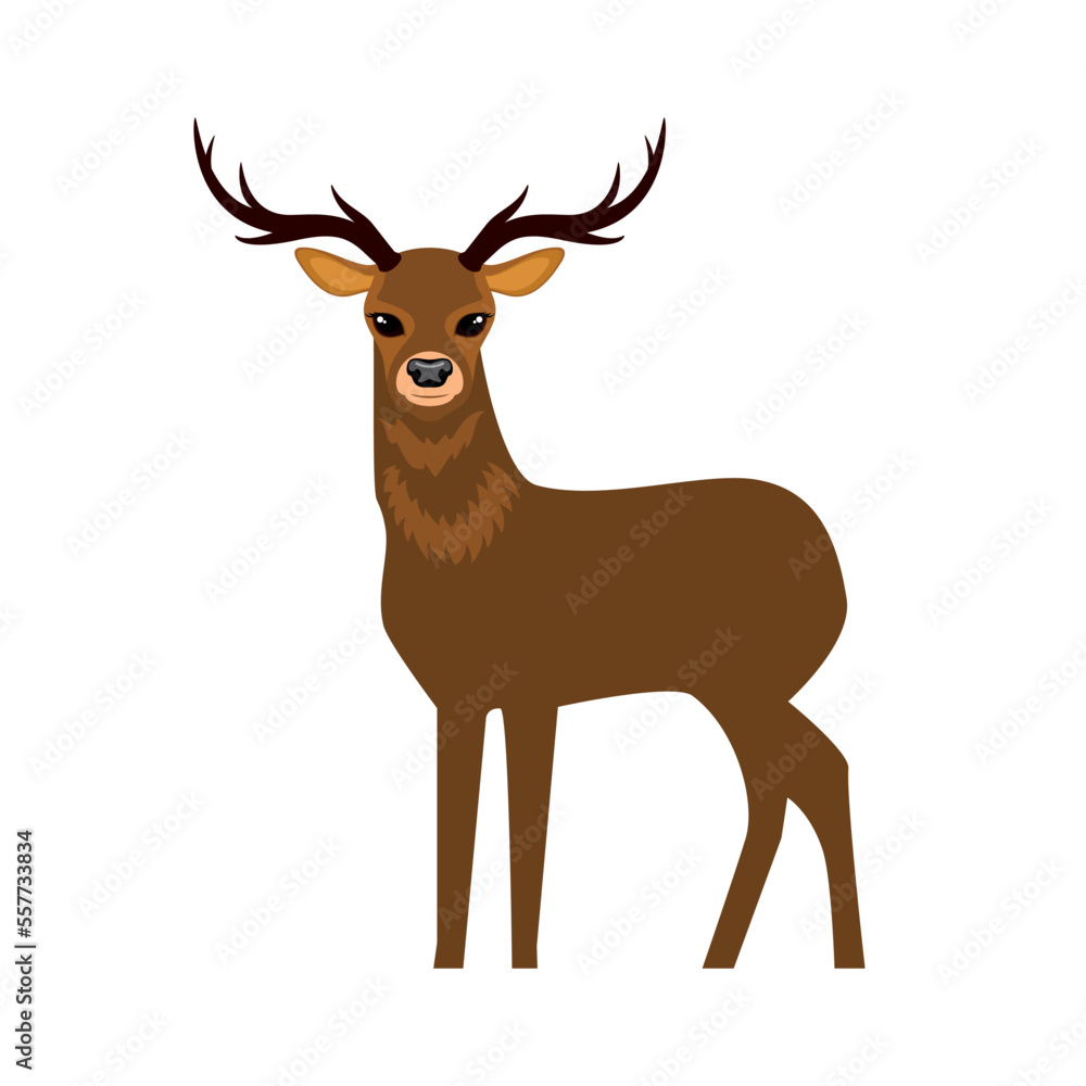 Standing cute brown deer side view icon vector. Deer vector illustration isolated on a white background. Forest animal drawing