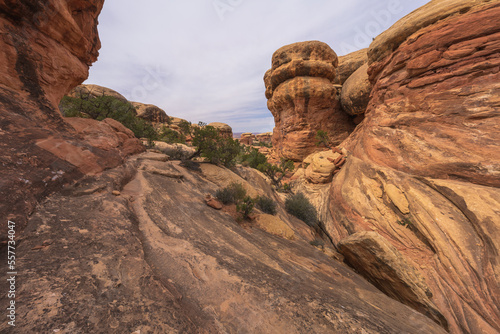 hiking the chesler park loop trail in the needles in canyonlands national park, usa