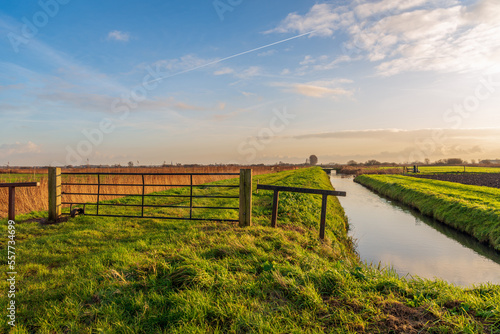 Polder landscape with a closed iron gate between two wooden beams in the foreground of a long path next to a wide ditch. It is a sunny autumn afternoon. The reed has turned yellow.