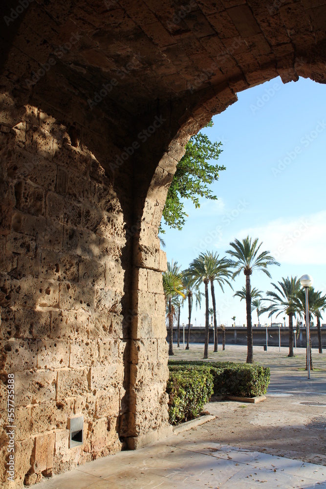 Obraz premium Palma de Mallorca and its infrastructures