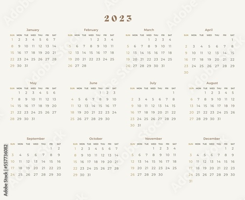 aesthetic 2023 elegant year calendar design 