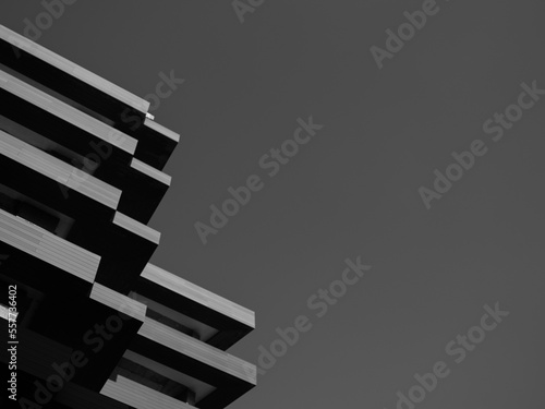 Corporate office building in Amman - detail in black and white tones.