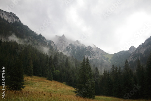 mountainous landscape with clouds and fog