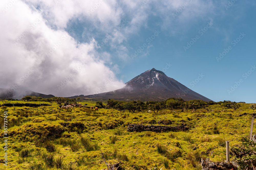 Obraz premium volcano Pico Azores country